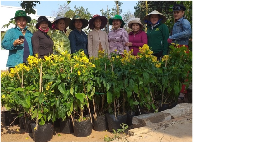 Hội viên phụ nữ Hội LHPN TT Đức Tài trồng hoa tại 1 đoạn đường Hồ Xuân Hương, Khu phô 1 TT Đức Tài
